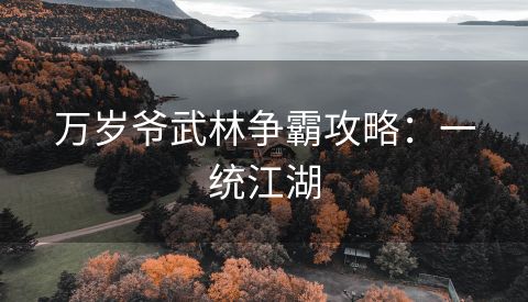 万岁爷武林争霸攻略：一统江湖