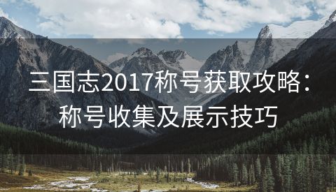 三国志2017称号获取攻略：称号收集及展示技巧