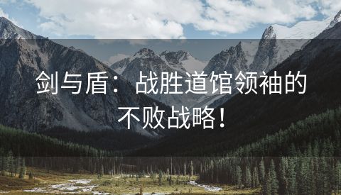 剑与盾：战胜道馆领袖的不败战略！